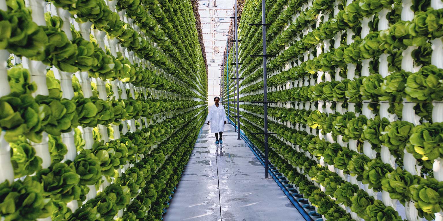 Organization Agriculture McKinsey & Company